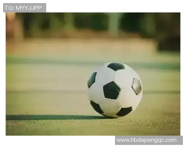 小毛驴足球明星的成长之路与梦想追逐的精彩故事