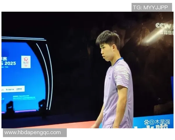 北京羽毛球队在大师赛中的默契配合与战术分析