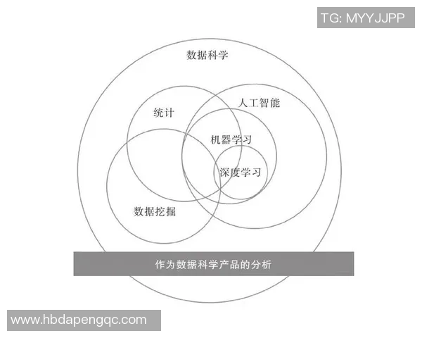 深圳排球队战术表现深度解析与数据分析探讨
