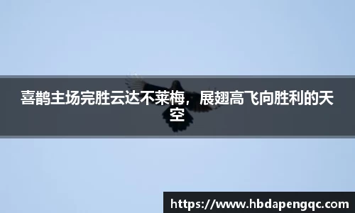 喜鹊主场完胜云达不莱梅，展翅高飞向胜利的天空